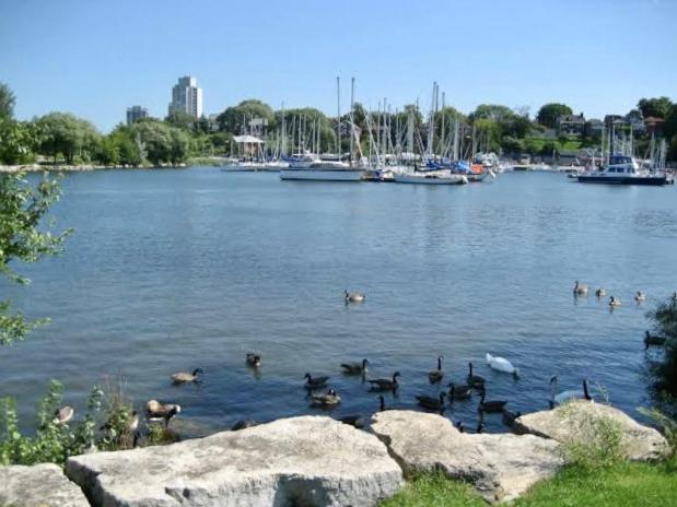 Apartamento Harbour House Hamilton Exterior foto